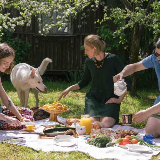 picnic con mascotas