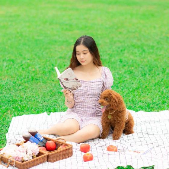 el picnic perfecto